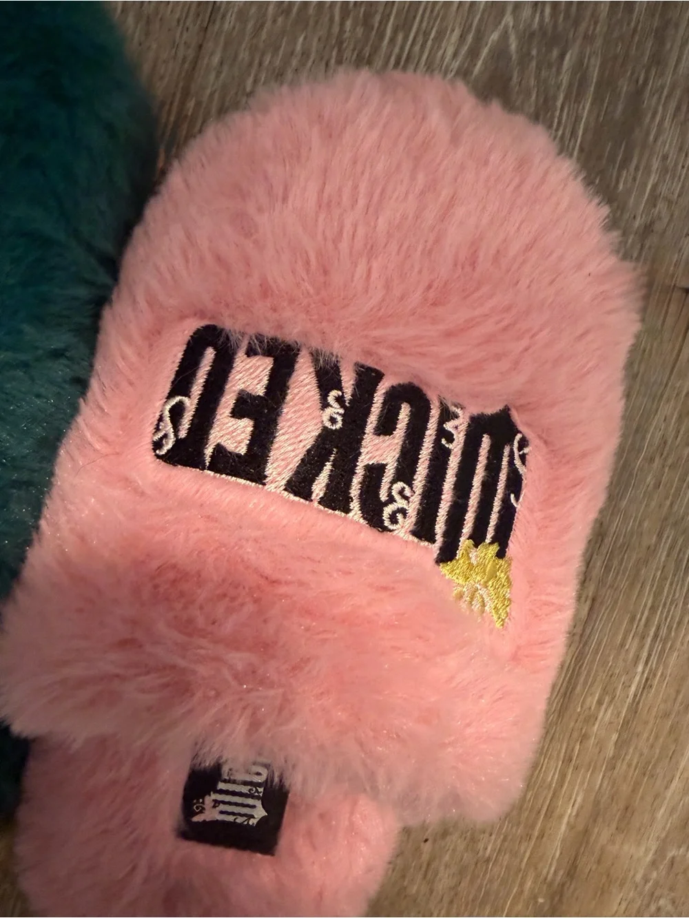 Grounded Wicked Movie Slippers Youth Sz Small 11/12